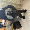 Dev King Kong Heykeli - 80 cm 3D Baskı Dekorasyon