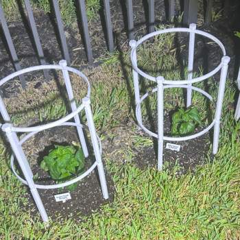 Modüler Domates Bitki Kafesi - 3D Baskı Bahçe Aksesuarı