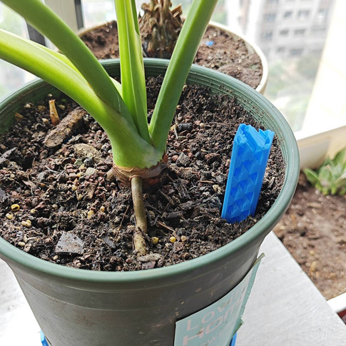 3D Baskı Saksı Toprak Havalandırma Kolonu - Kök Çürümesi Önleyici