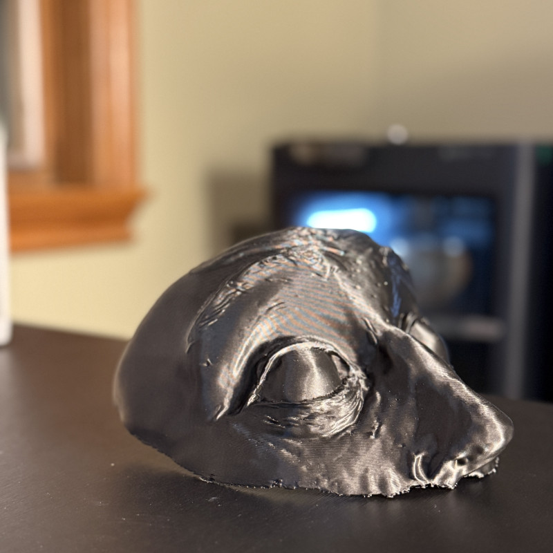 Uyanış Yüz Maskesi - 3D Baskı Korku Dekoru ve Aksesuarı