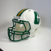 UNCC Amerikan Futbolu Kaskı 3D Baskı Modeli - Özel Tasarım