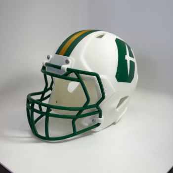 UNCC Amerikan Futbolu Kaskı 3D Baskı Modeli - Özel Tasarım