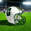 UNCC Amerikan Futbolu Kaskı 3D Baskı Modeli - Özel Tasarım