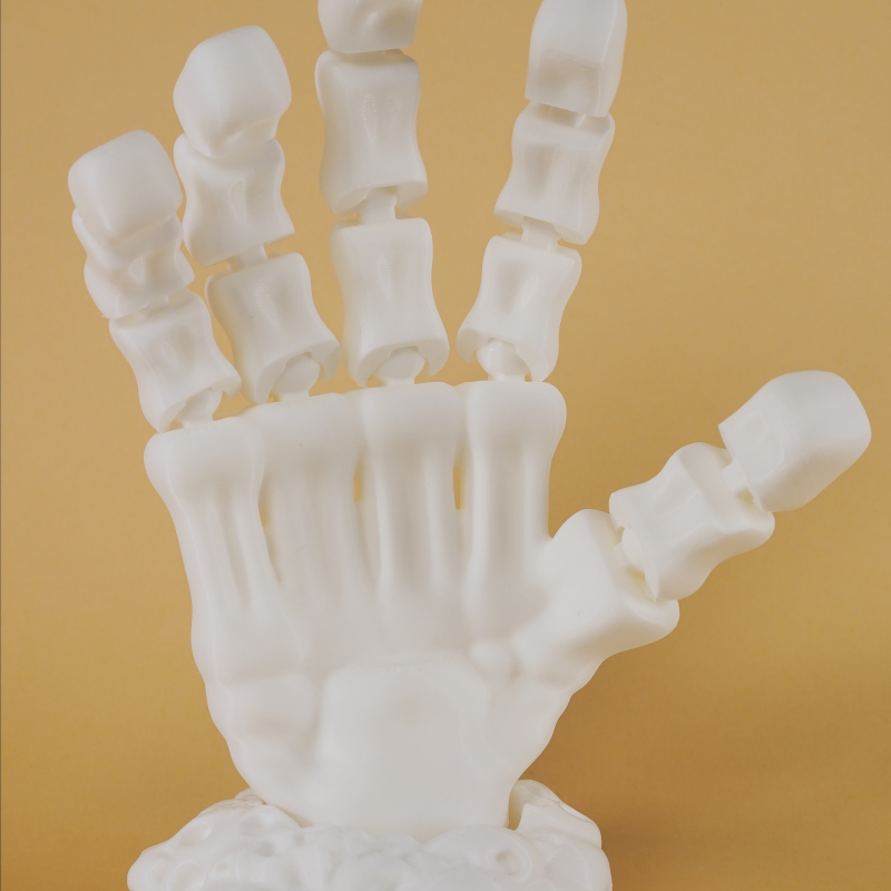 Eklemli İskelet El Modeli - 3D Baskı Dekorasyon Oyuncak Eklemli İskelet El Modeli - 3D Baskı Dekorasyon Oyuncak