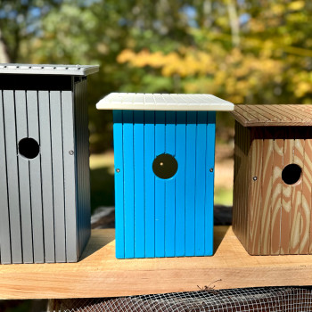 Türe Özel Kameralı Kuş Evleri - 3D Baskı Bahçe Dekoru