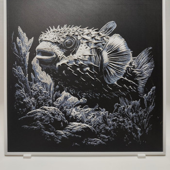 Renkli Balon Balığı 3D Baskı Tablo - Hueforge Dekor