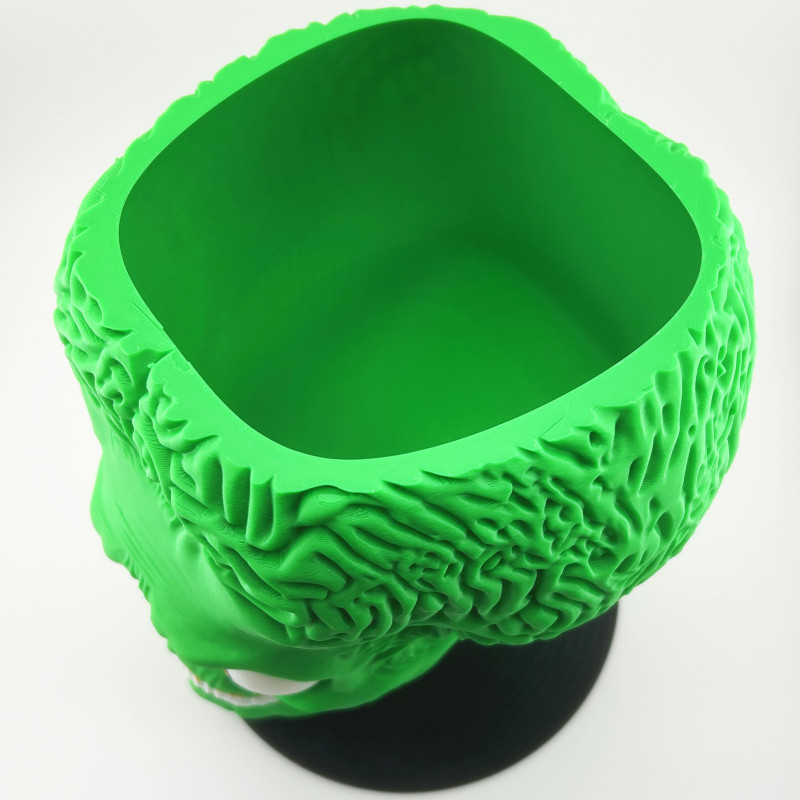 Uzaylı Beyin Kase Büst - 3D Baskılı Bilim Kurgu Dekor