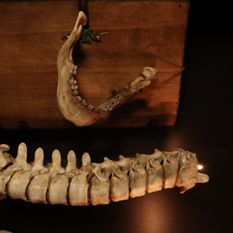 Karanlık ve Gotik Kafatası Mumluk Seti - 3D Baskı Dekor Karanlık ve Gotik Kafatası Mumluk Seti - 3D Baskı Dekor