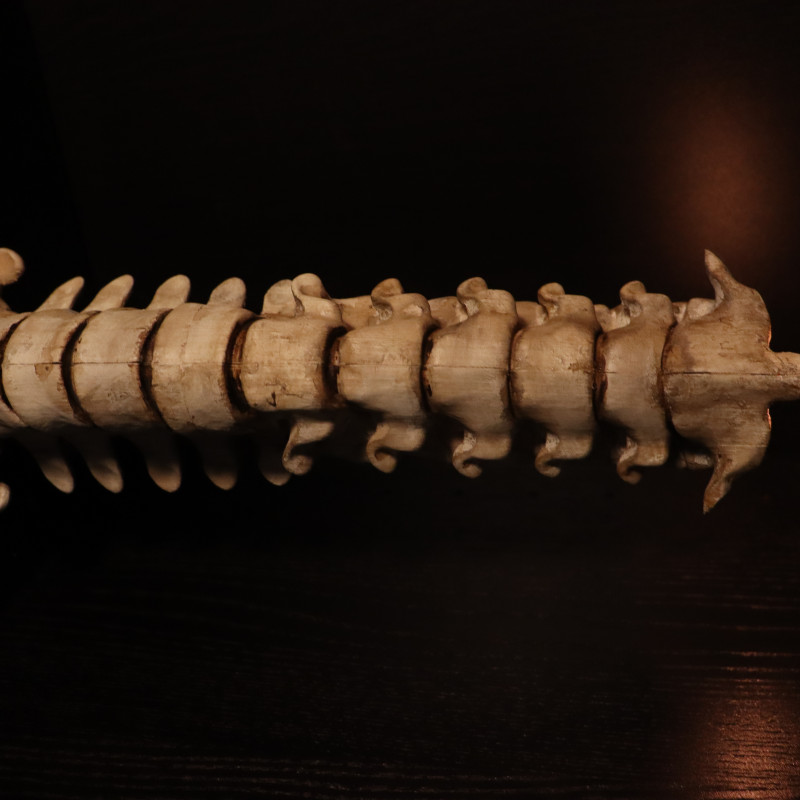 Karanlık ve Gotik Kafatası Mumluk Seti - 3D Baskı Dekor Karanlık ve Gotik Kafatası Mumluk Seti - 3D Baskı Dekor