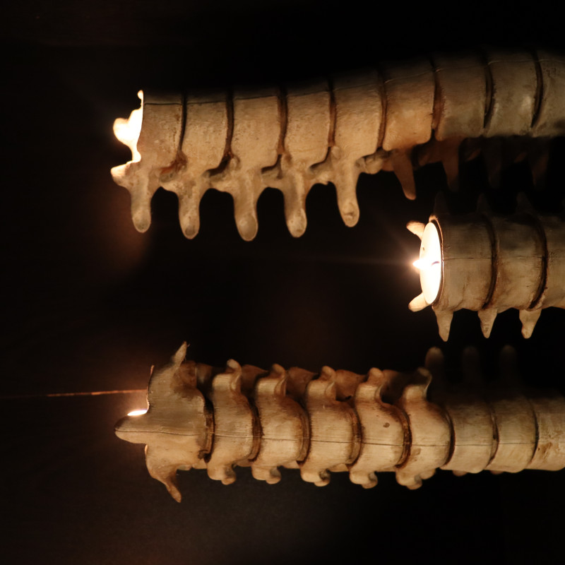 Karanlık ve Gotik Kafatası Mumluk Seti - 3D Baskı Dekor Karanlık ve Gotik Kafatası Mumluk Seti - 3D Baskı Dekor