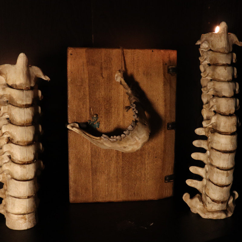 Karanlık ve Gotik Kafatası Mumluk Seti - 3D Baskı Dekor Karanlık ve Gotik Kafatası Mumluk Seti - 3D Baskı Dekor