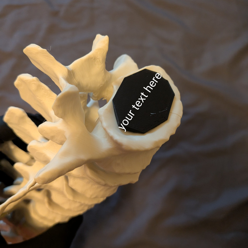 Eğitici Hareketli İnsan Omurga Modeli - 3D Baskı Anatomi