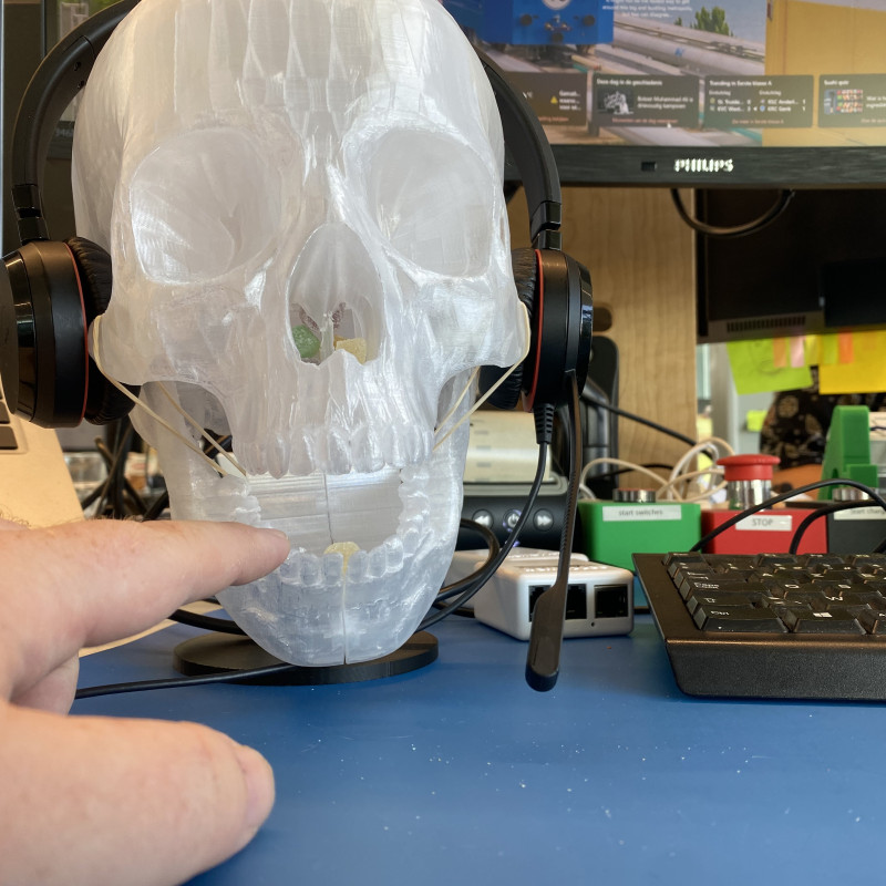 Çok Amaçlı Kafatası Feneri - Şeker Dispanseri - Kulaklık Standı