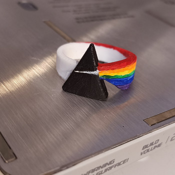 Pink Floyd Karanlık Ay Yüzüğü - 3D Baskılı Özel Tasarım