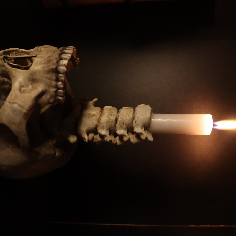 Karanlık ve Gotik Kafatası Mumluk Seti - 3D Baskı Dekor Karanlık ve Gotik Kafatası Mumluk Seti - 3D Baskı Dekor