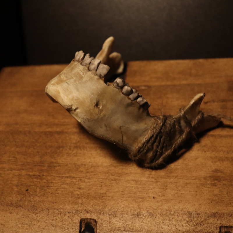 Karanlık ve Gotik Kafatası Mumluk Seti - 3D Baskı Dekor Karanlık ve Gotik Kafatası Mumluk Seti - 3D Baskı Dekor