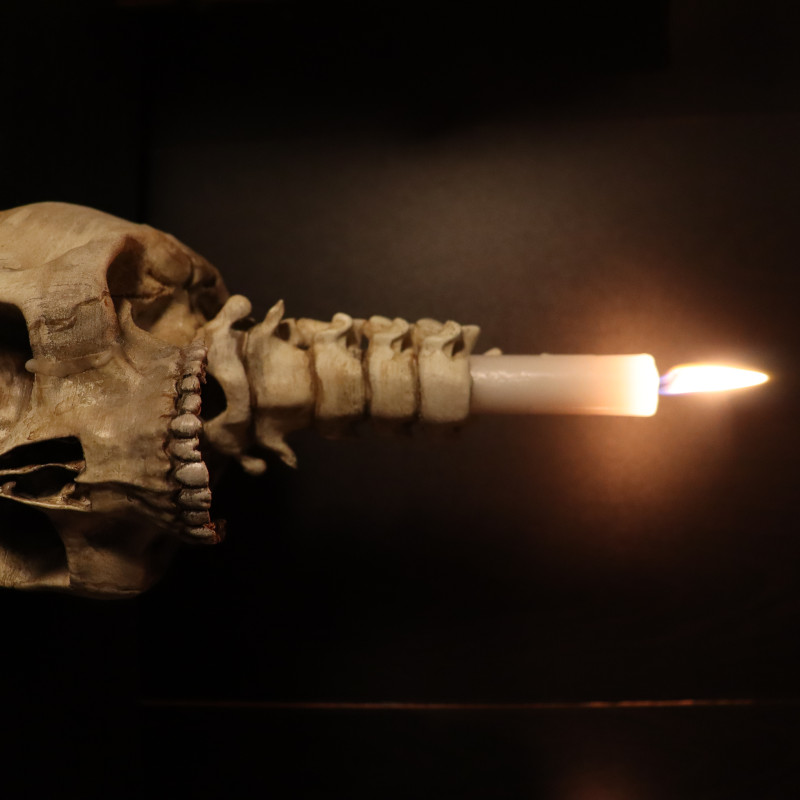 Karanlık ve Gotik Kafatası Mumluk Seti - 3D Baskı Dekor Karanlık ve Gotik Kafatası Mumluk Seti - 3D Baskı Dekor