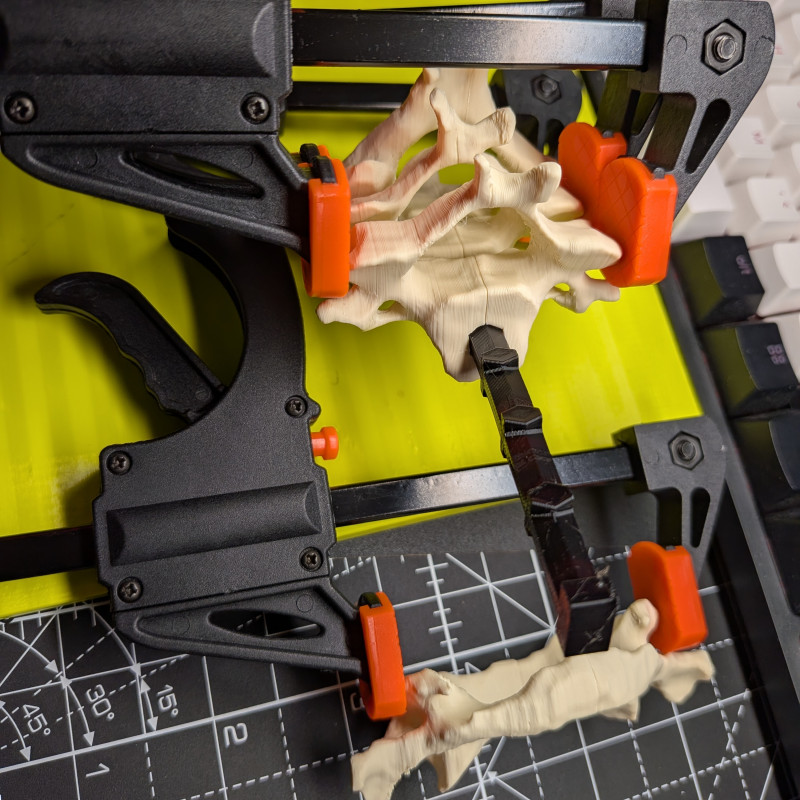 Eğitici Hareketli İnsan Omurga Modeli - 3D Baskı Anatomi