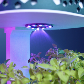 Akıllı Otomatik Sulama Saksı - 3D Baskı Ev Bitkisi Çözümü Akıllı Otomatik Sulama Saksı - 3D Baskı Ev Bitkisi Çözümü