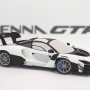 McLaren Senna GTR 1:19 Ölçekli 3D Baskı Model Araç Kiti
