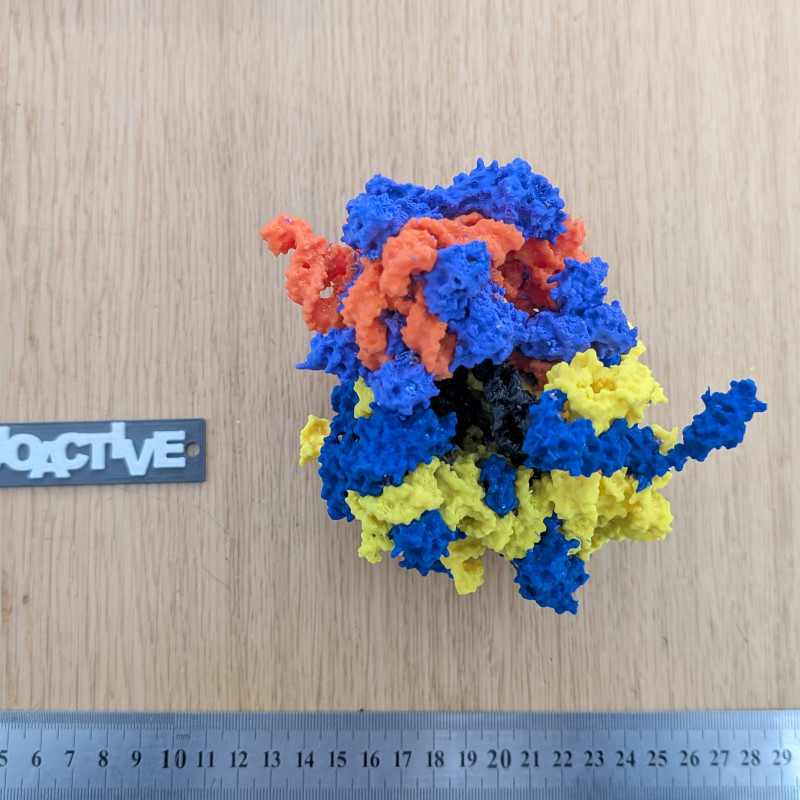 Bakteriyel 70S Ribozom 3D Baskı Modeli - Eğitim ve Biyoloji