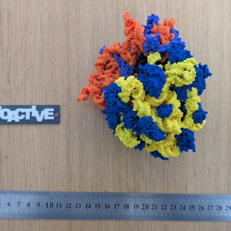 Bakteriyel 70S Ribozom 3D Baskı Modeli - Eğitim ve Biyoloji