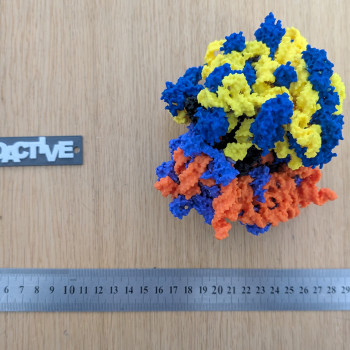 Bakteriyel 70S Ribozom 3D Baskı Modeli - Eğitim ve Biyoloji