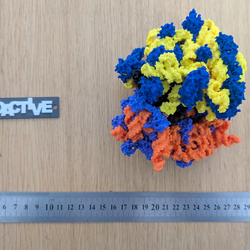Bakteriyel 70S Ribozom 3D Baskı Modeli - Eğitim ve Biyoloji