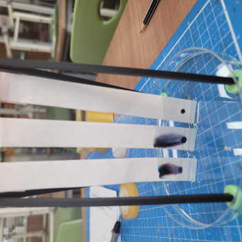 Kromatografi Deney Standı - 3D Baskı Eğitim Aracı