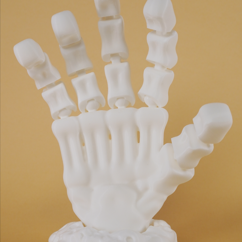 Eklemli İskelet El Modeli - 3D Baskı Dekorasyon Oyuncak Eklemli İskelet El Modeli - 3D Baskı Dekorasyon Oyuncak