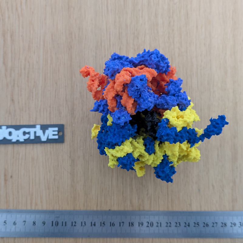 Bakteriyel 70S Ribozom 3D Baskı Modeli - Eğitim ve Biyoloji