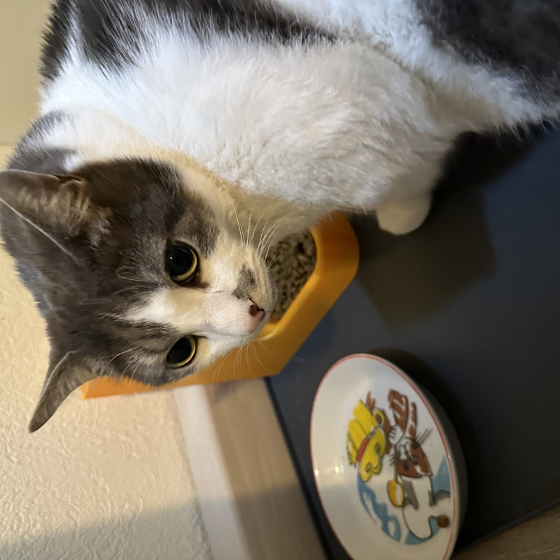 Otomatik Kedi Maması Dispanseri - 3D Baskı Evcil Hayvan Ürünü