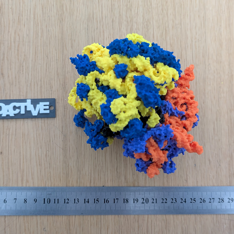 Bakteriyel 70S Ribozom 3D Baskı Modeli - Eğitim ve Biyoloji