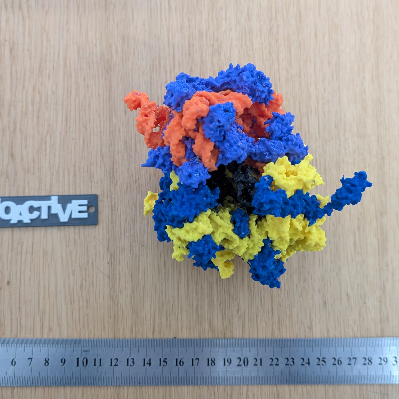 Bakteriyel 70S Ribozom 3D Baskı Modeli - Eğitim ve Biyoloji