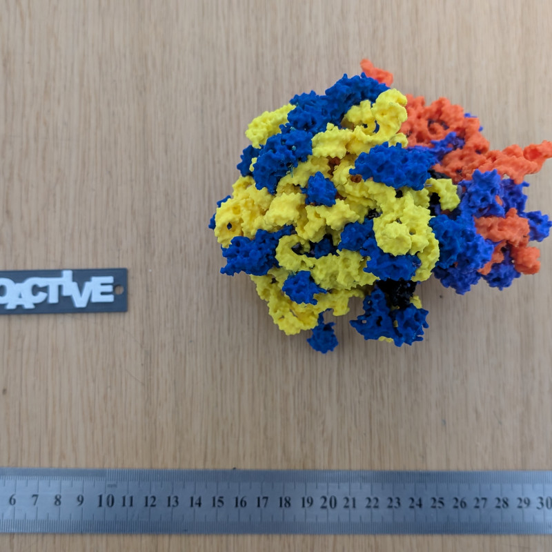 Bakteriyel 70S Ribozom 3D Baskı Modeli - Eğitim ve Biyoloji