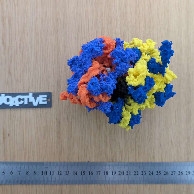 Bakteriyel 70S Ribozom 3D Baskı Modeli - Eğitim ve Biyoloji