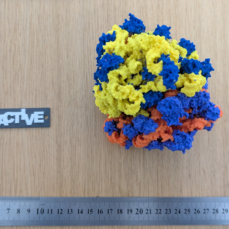 Bakteriyel 70S Ribozom 3D Baskı Modeli - Eğitim ve Biyoloji