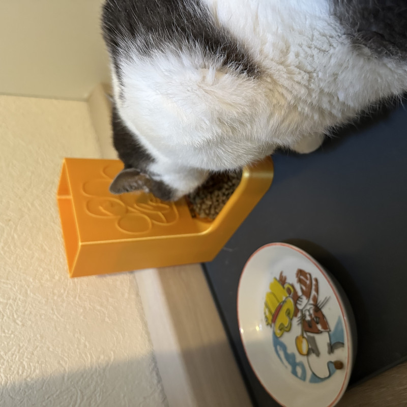 Otomatik Kedi Maması Dispanseri - 3D Baskı Evcil Hayvan Ürünü