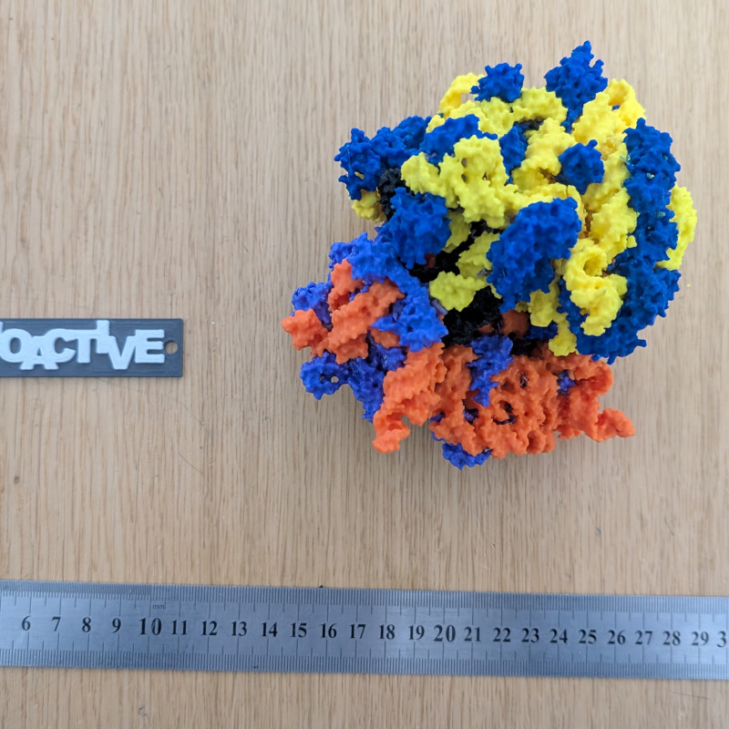Bakteriyel 70S Ribozom 3D Baskı Modeli - Eğitim ve Biyoloji