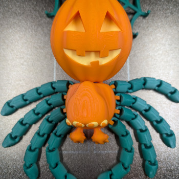 Eklemli Kabak Örümceği - Geri Çekilebilir Ağlı 3D Baskı Dekor