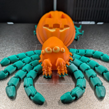 Eklemli Kabak Örümceği - Geri Çekilebilir Ağlı 3D Baskı Dekor