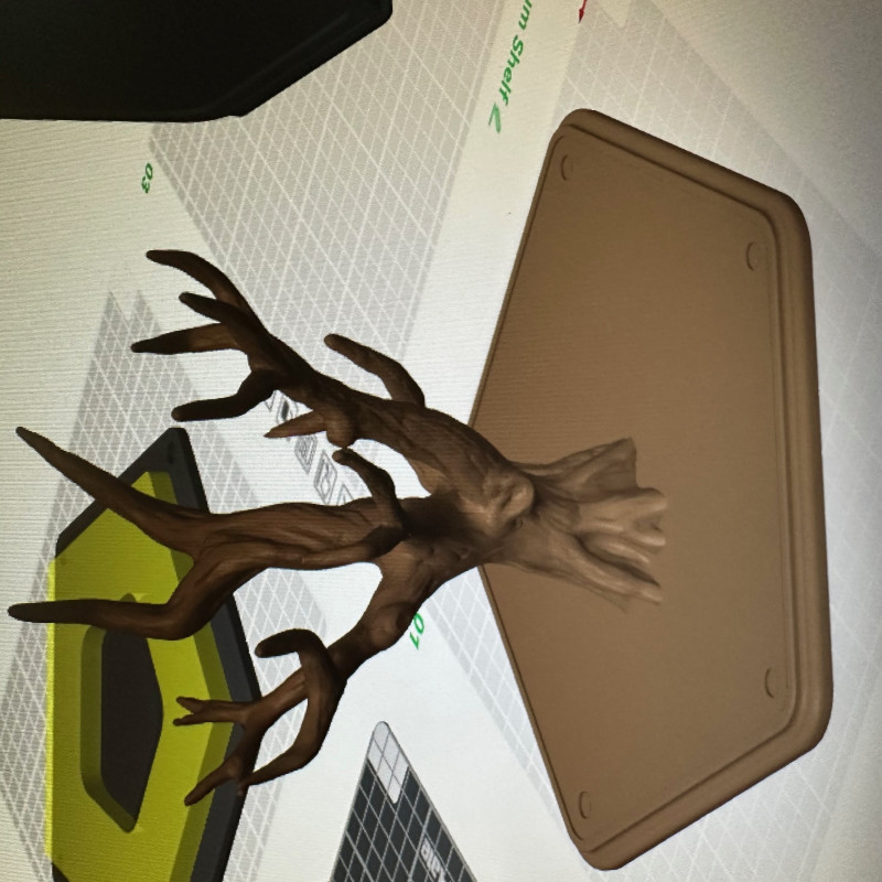 Duvar Terraryumu Aksesuarları - 3D Baskı Evcil Hayvan Dekoru