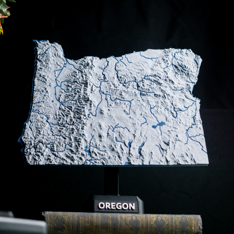 Georgia ABD 3D Topoğrafik Harita - Eğitim ve Dekorasyon