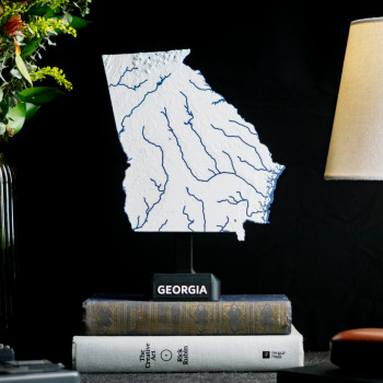 Georgia ABD 3D Topoğrafik Harita - Eğitim ve Dekorasyon