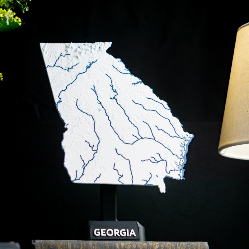 Georgia ABD 3D Topoğrafik Harita - Eğitim ve Dekorasyon