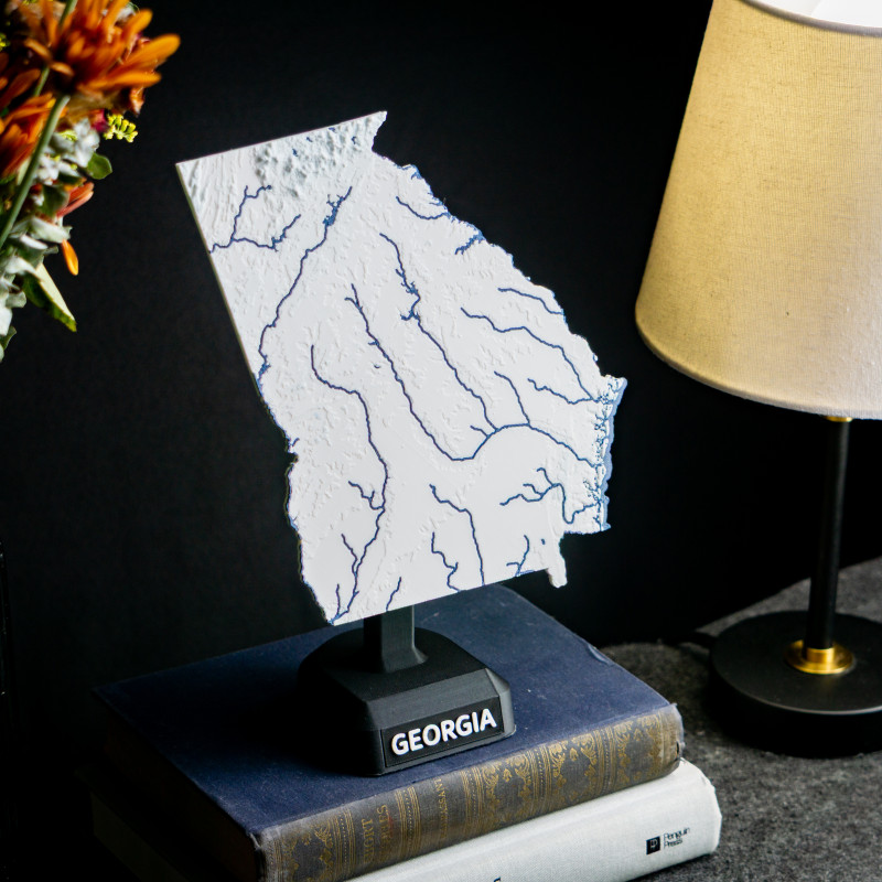 Georgia ABD 3D Topoğrafik Harita - Eğitim ve Dekorasyon