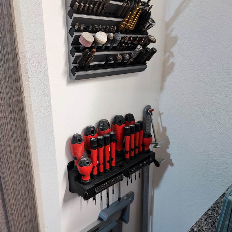 100 Yuvalı Duvar Delikli Tornavida Ucu Organizer - 3D Baskı