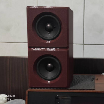 3 İnç Çift Sürücülü Bass Reflex Hoparlör - DIY Ses Sistemi