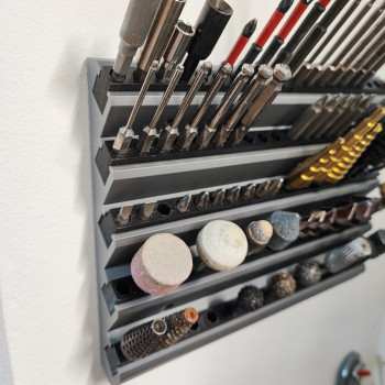 100 Yuvalı Duvar Delikli Tornavida Ucu Organizer - 3D Baskı