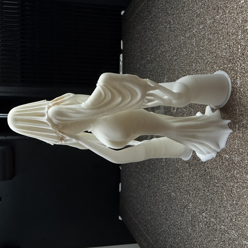 Gizemli Tapınak Bekçisi Hayalet Kadın 3D Baskı Figür Gizemli Tapınak Bekçisi Hayalet Kadın 3D Baskı Figür